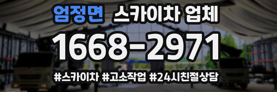 엄정면 스카이차 업체