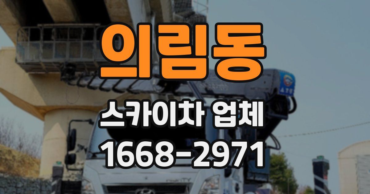 의림동 스카이차 업체