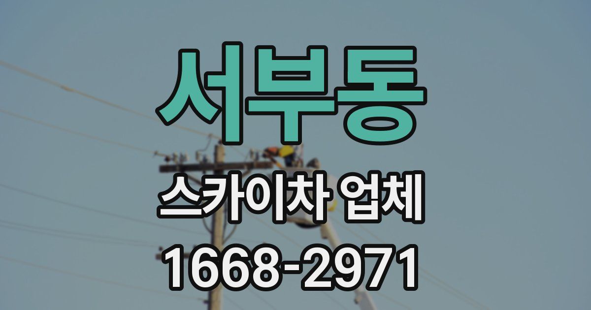 서부동 스카이차 업체