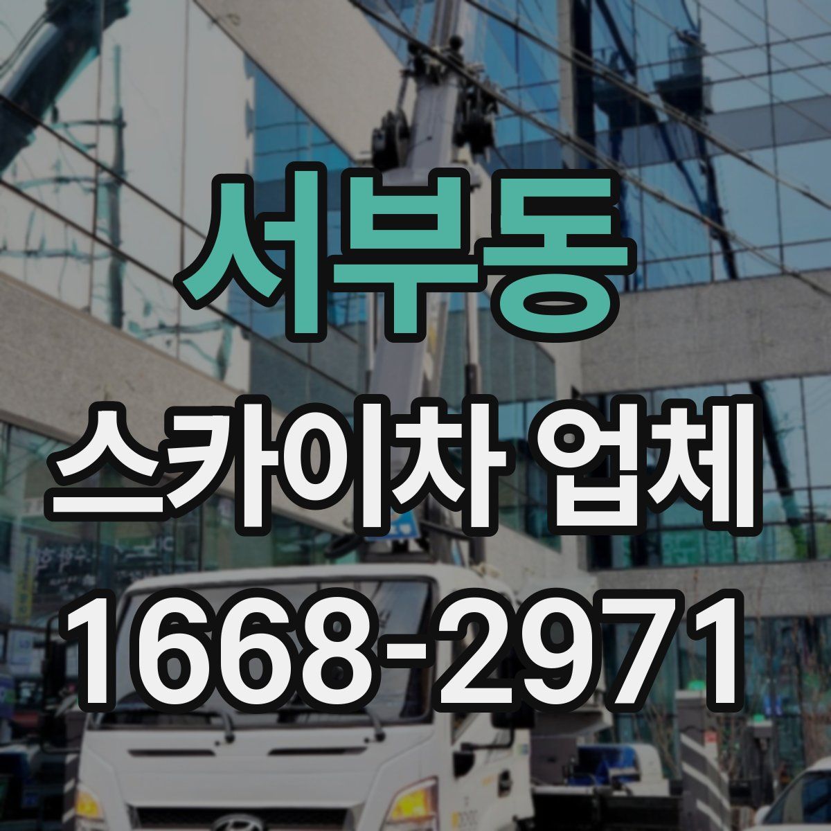 서부동 스카이차 업체