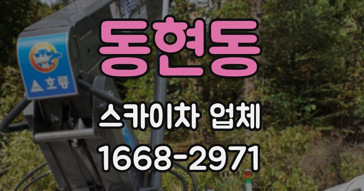 동현동 스카이차 업체
