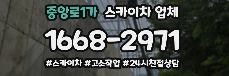 중앙로1가 스카이차 업체
