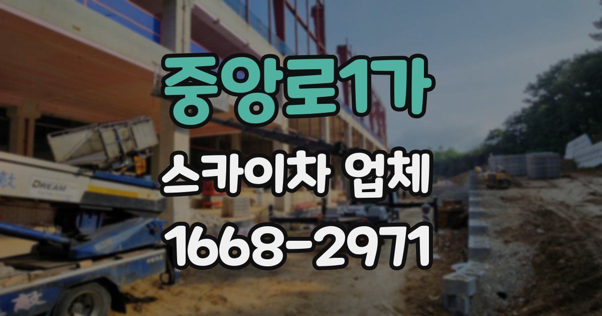 중앙로1가 스카이차 업체