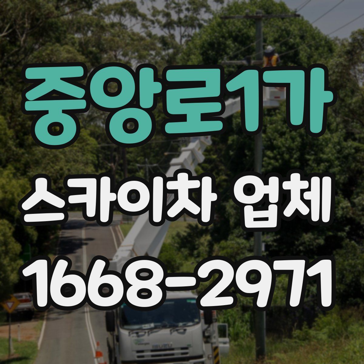 중앙로1가 스카이차 업체
