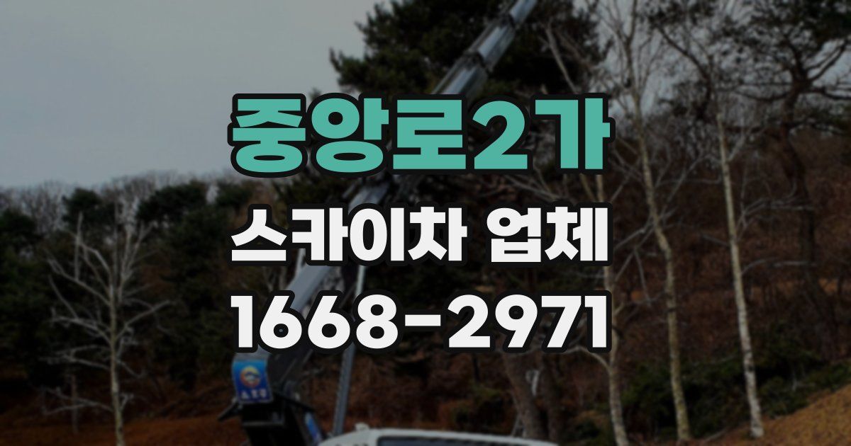 중앙로2가 스카이차 업체