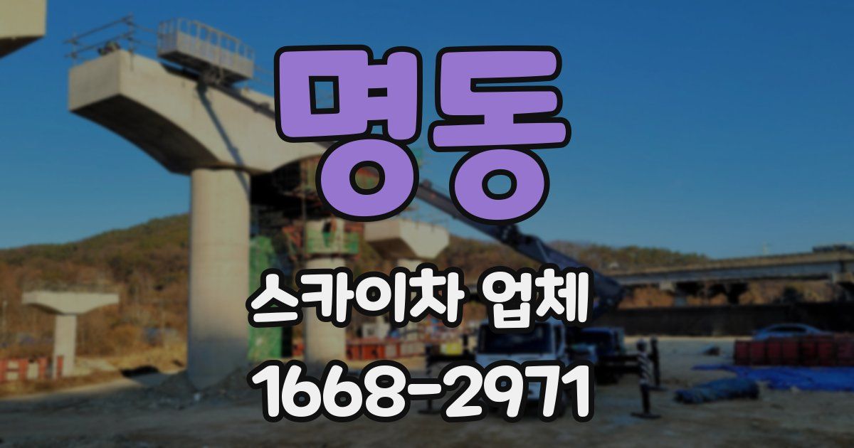 명동 스카이차 업체