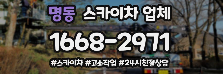 명동 스카이차 업체