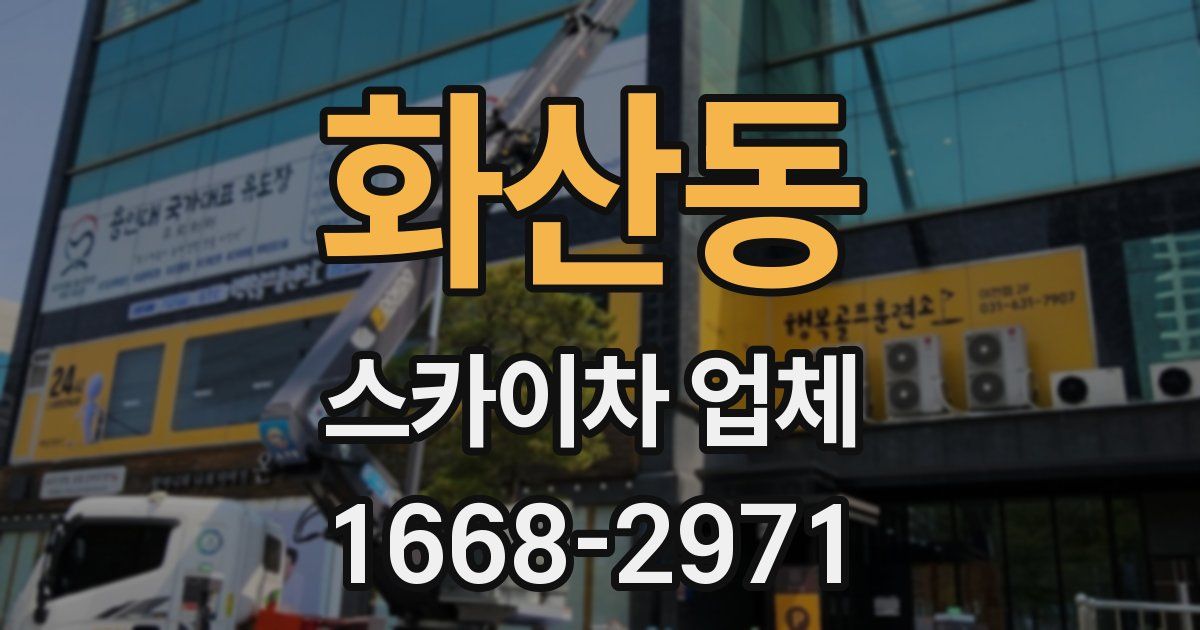 화산동 스카이차 업체