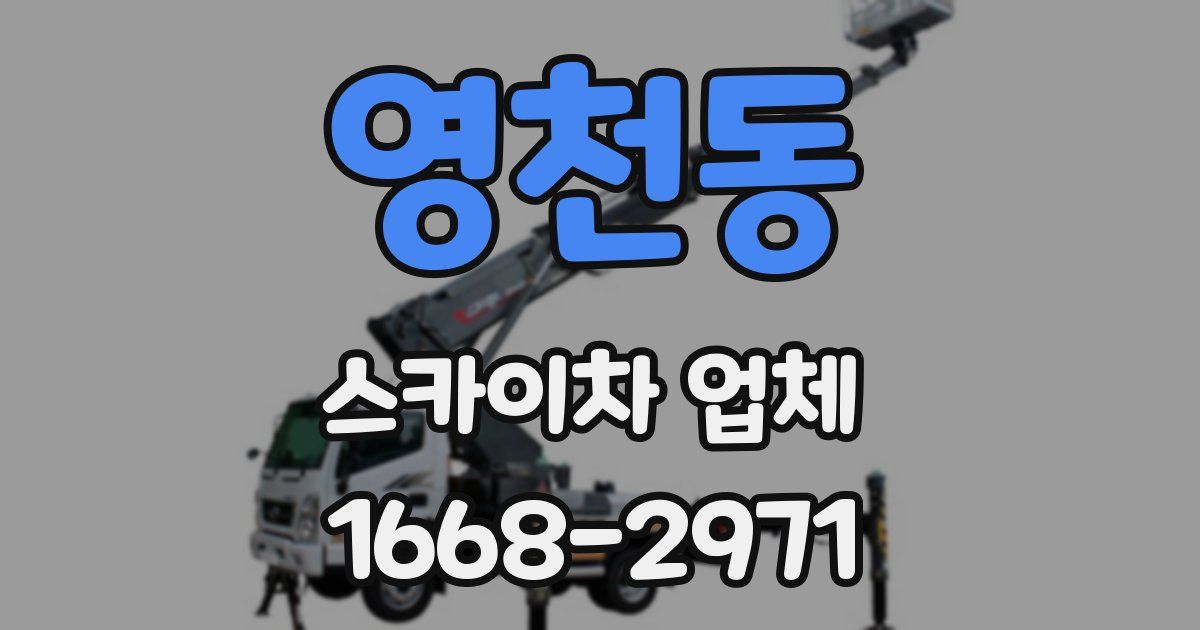 영천동 스카이차 업체