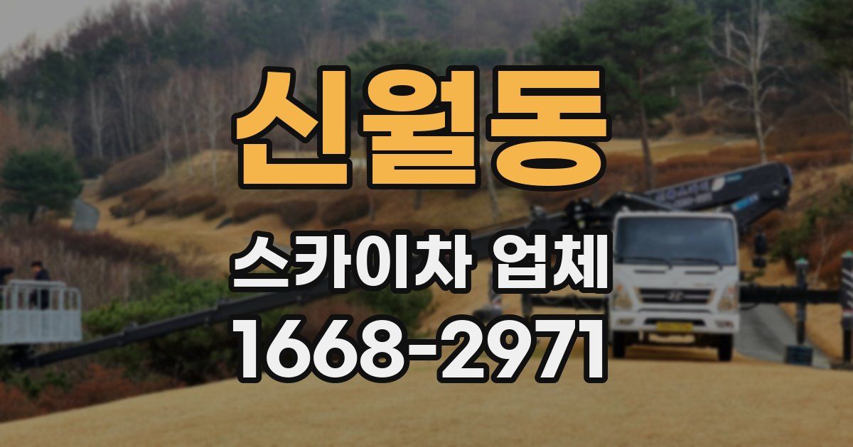 신월동 스카이차 업체