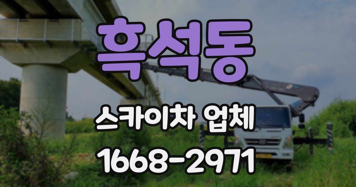 흑석동 스카이차 업체