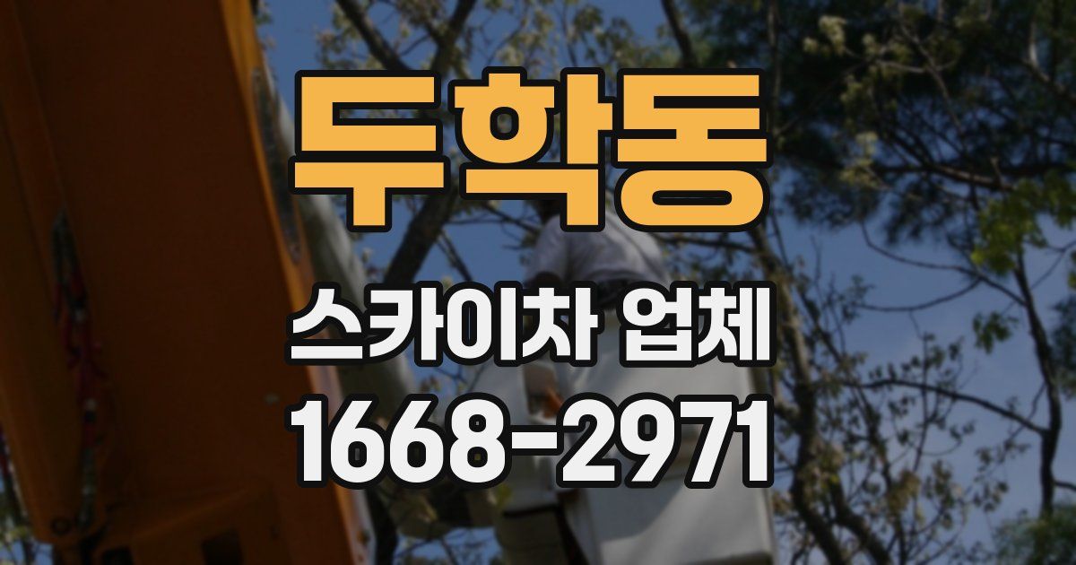 두학동 스카이차 업체