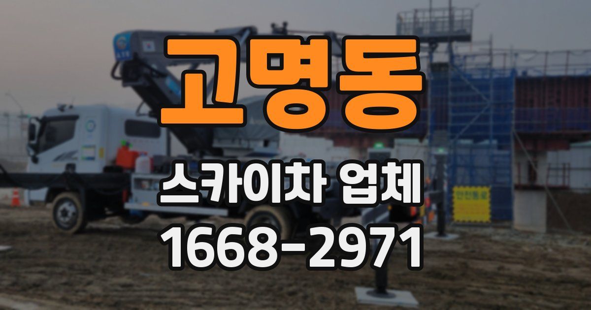 고명동 스카이차 업체