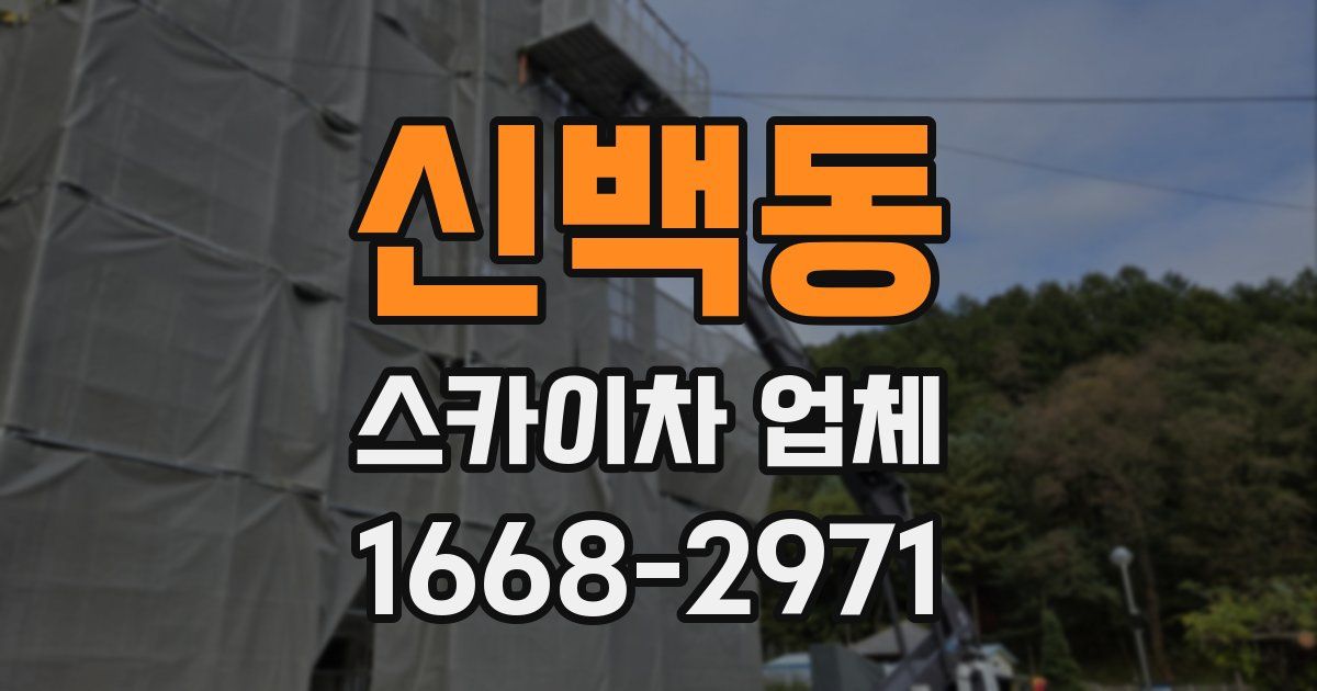 신백동 스카이차 업체
