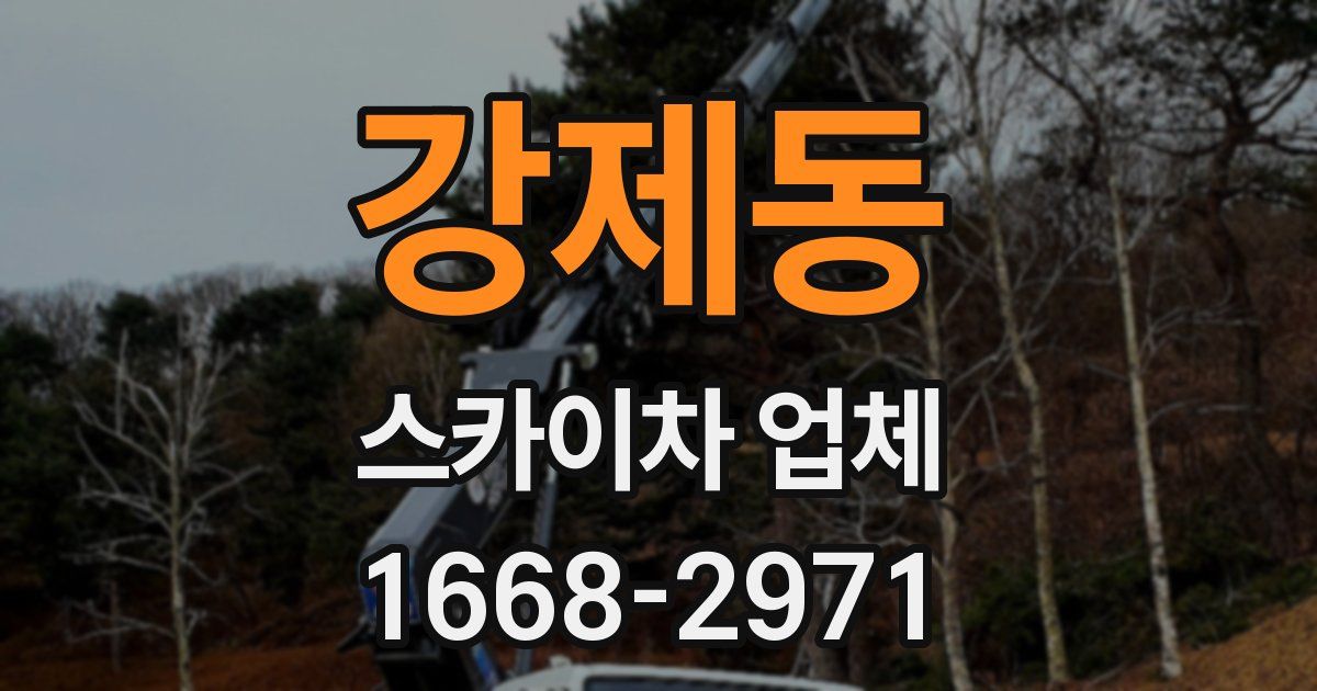 강제동 스카이차 업체