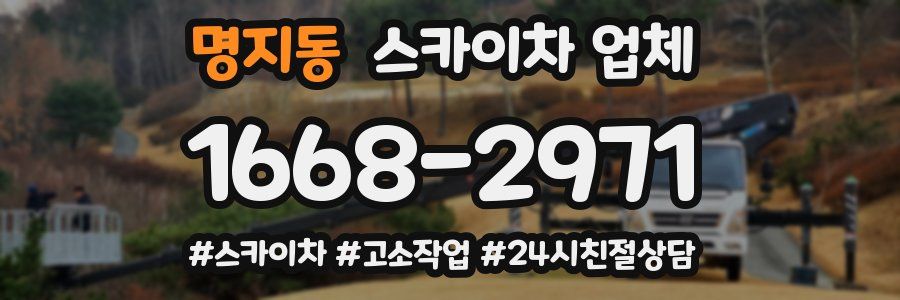 명지동 스카이차 업체