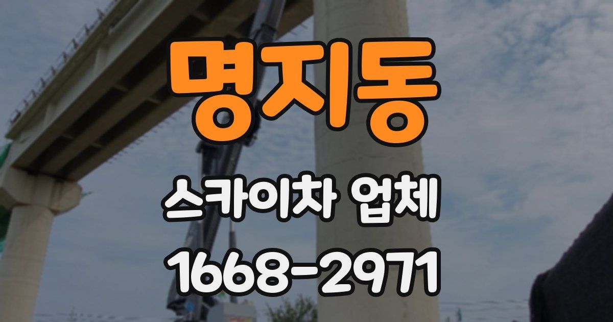 명지동 스카이차 업체