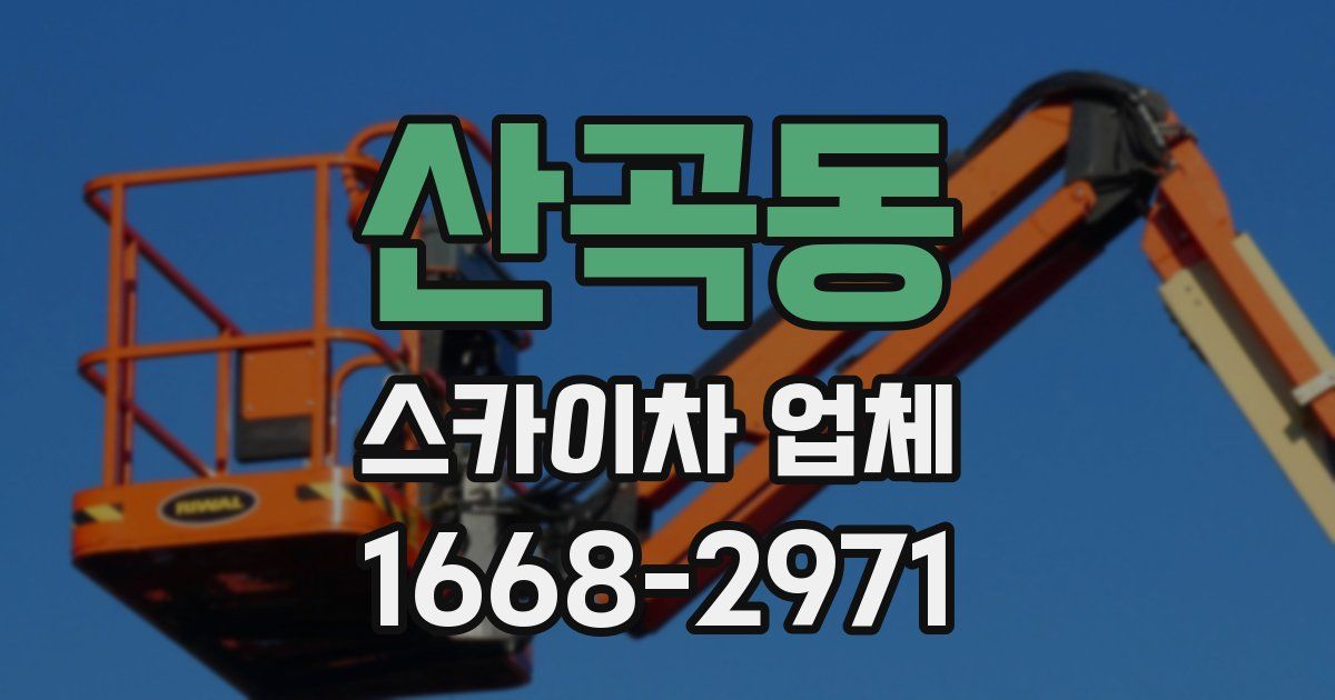 산곡동 스카이차 업체