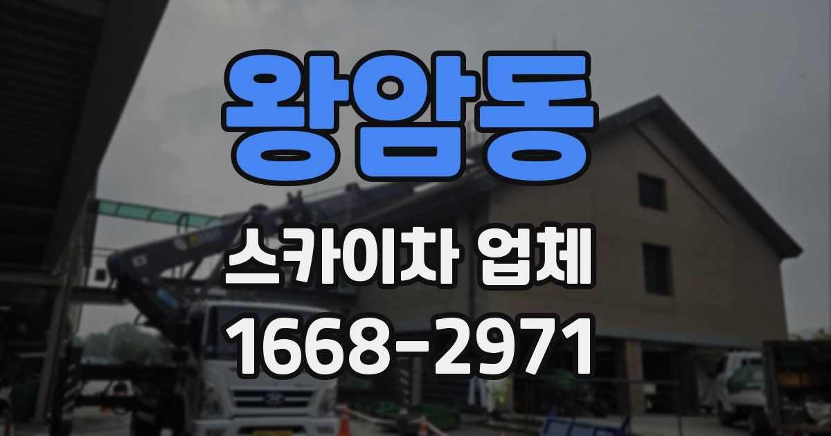 왕암동 스카이차 업체