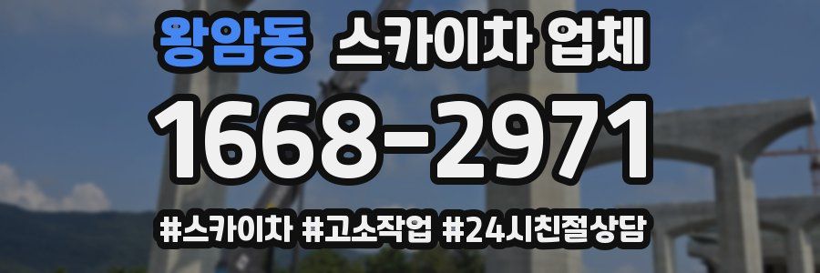 왕암동 스카이차 업체