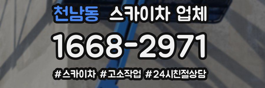 천남동 스카이차 업체