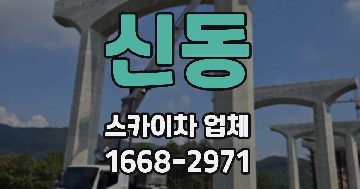 신동 스카이차 업체