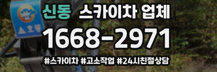 신동 스카이차 업체