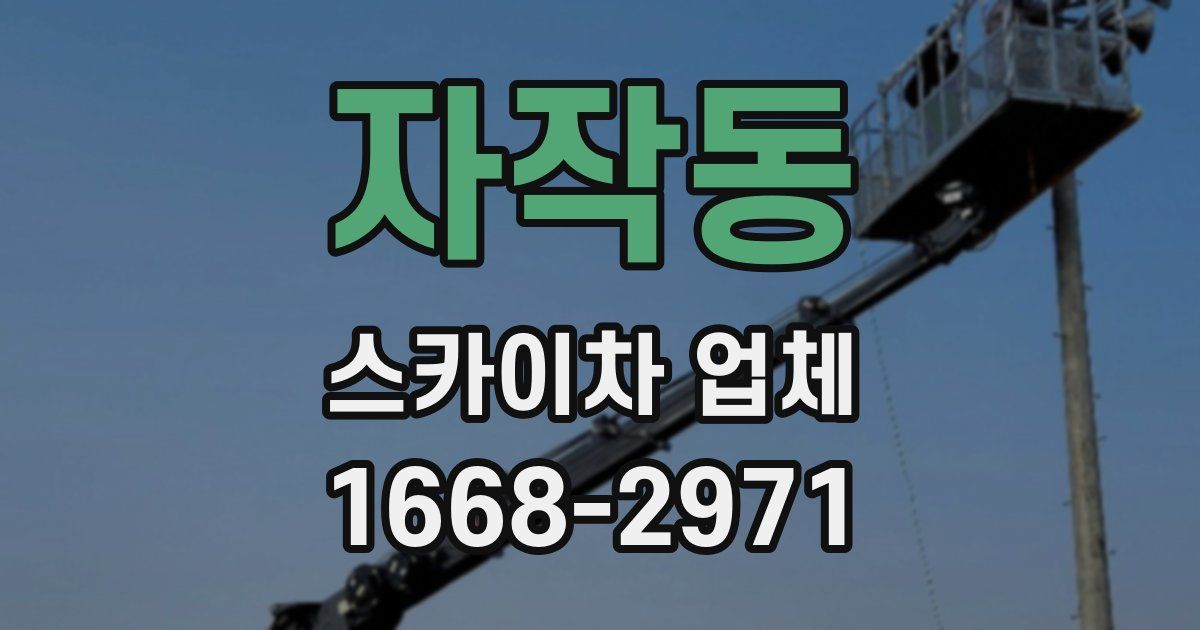자작동 스카이차 업체