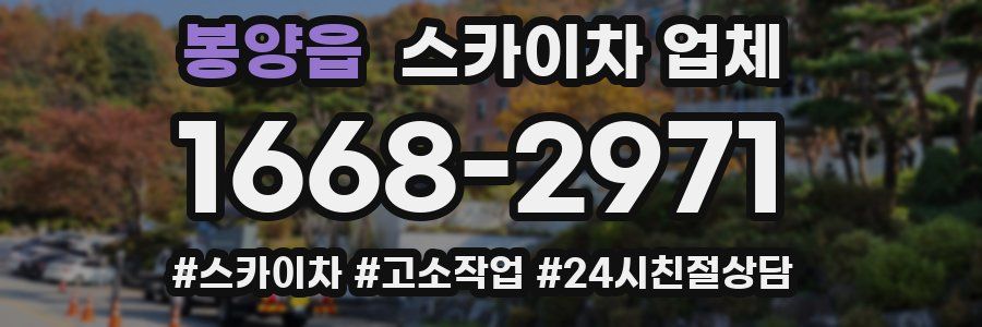봉양읍 스카이차 업체