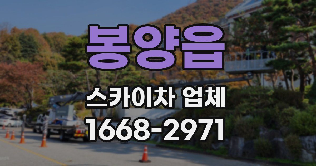 봉양읍 스카이차 업체