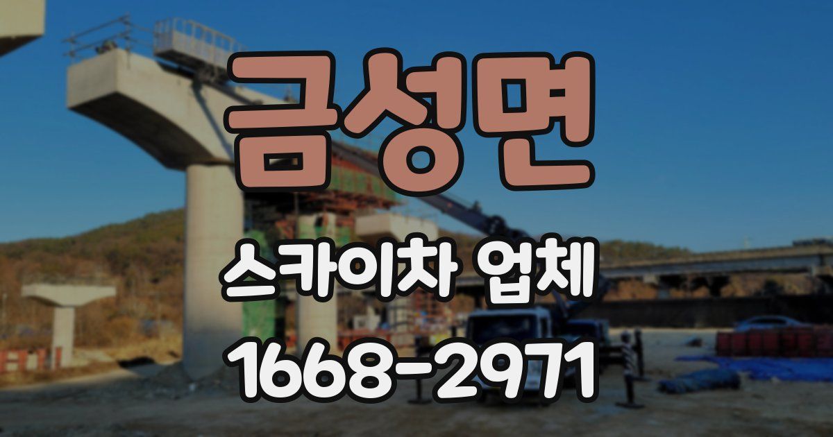 금성면 스카이차 업체