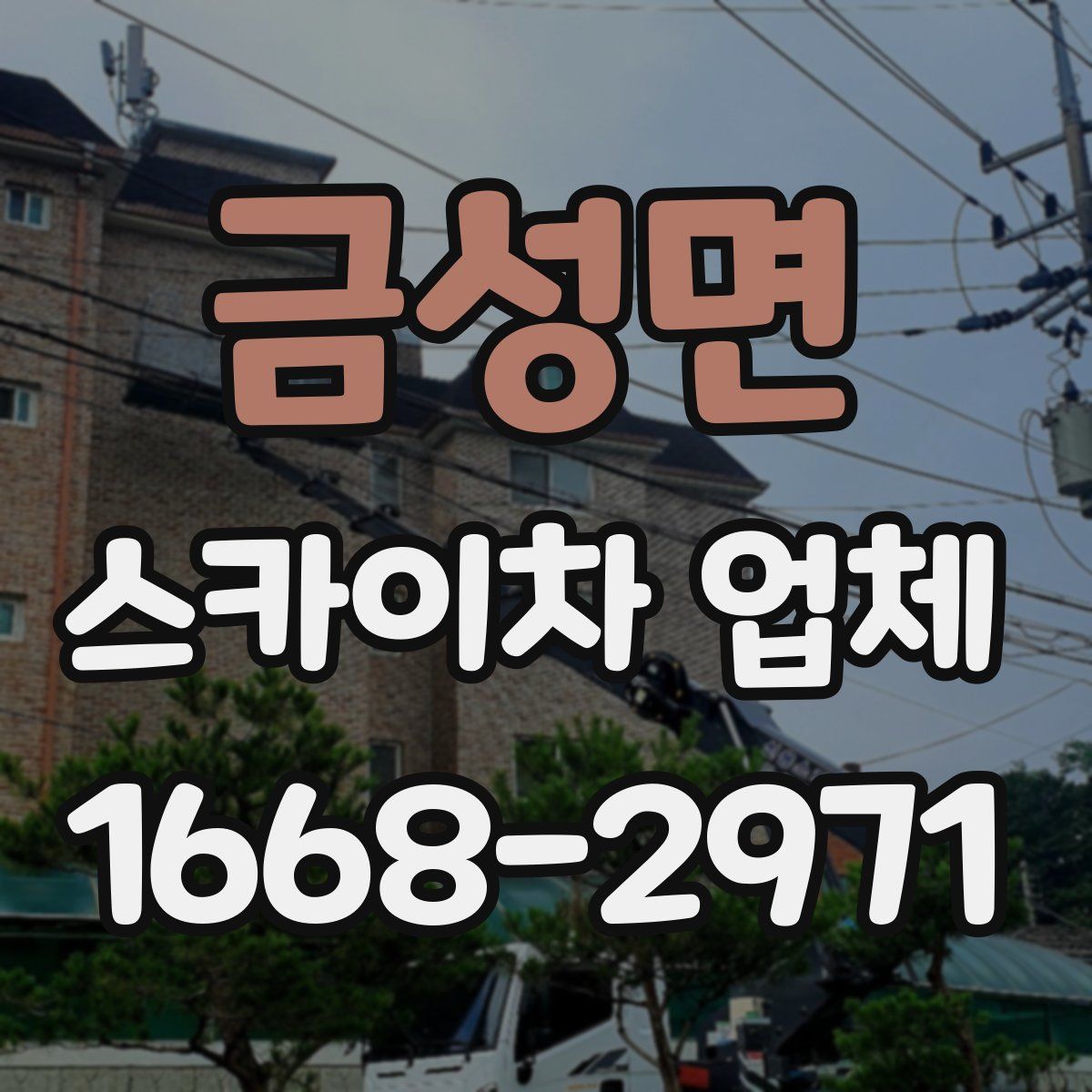 금성면 스카이차 업체