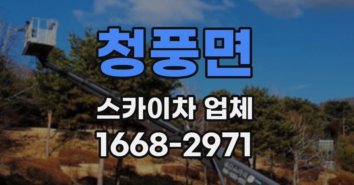 청풍면 스카이차 업체