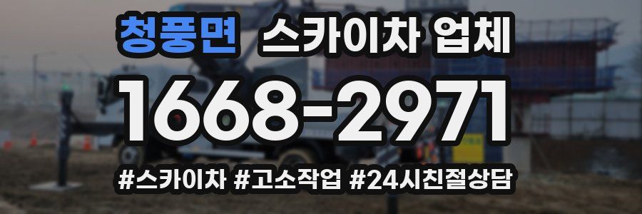 청풍면 스카이차 업체