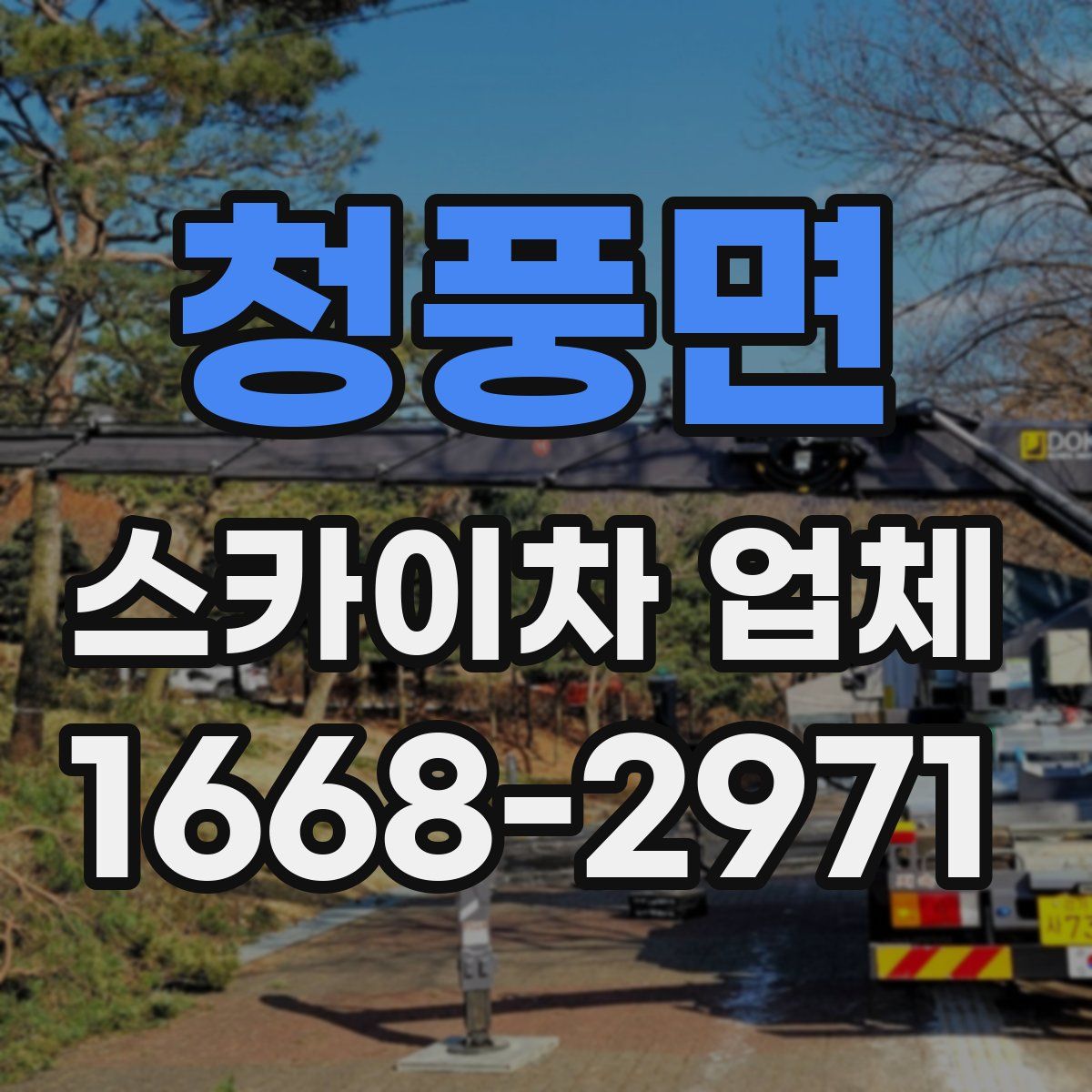 청풍면 스카이차 업체