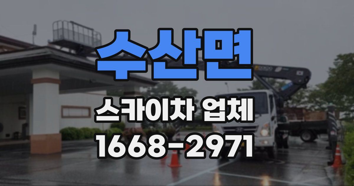 수산면 스카이차 업체