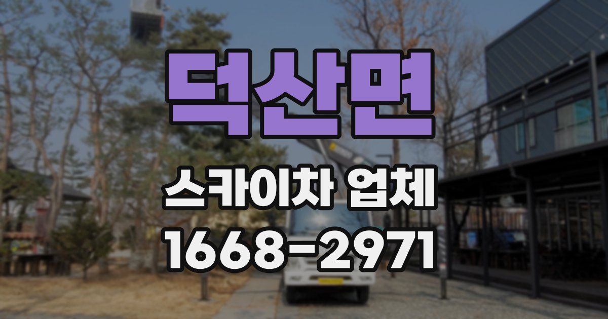 덕산면 스카이차 업체