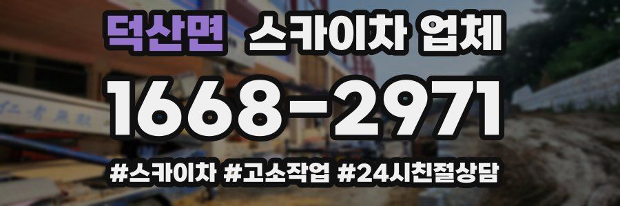 덕산면 스카이차 업체