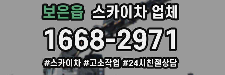 보은읍 스카이차 업체
