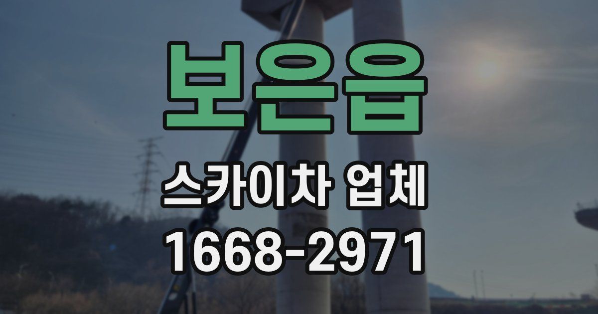 보은읍 스카이차 업체