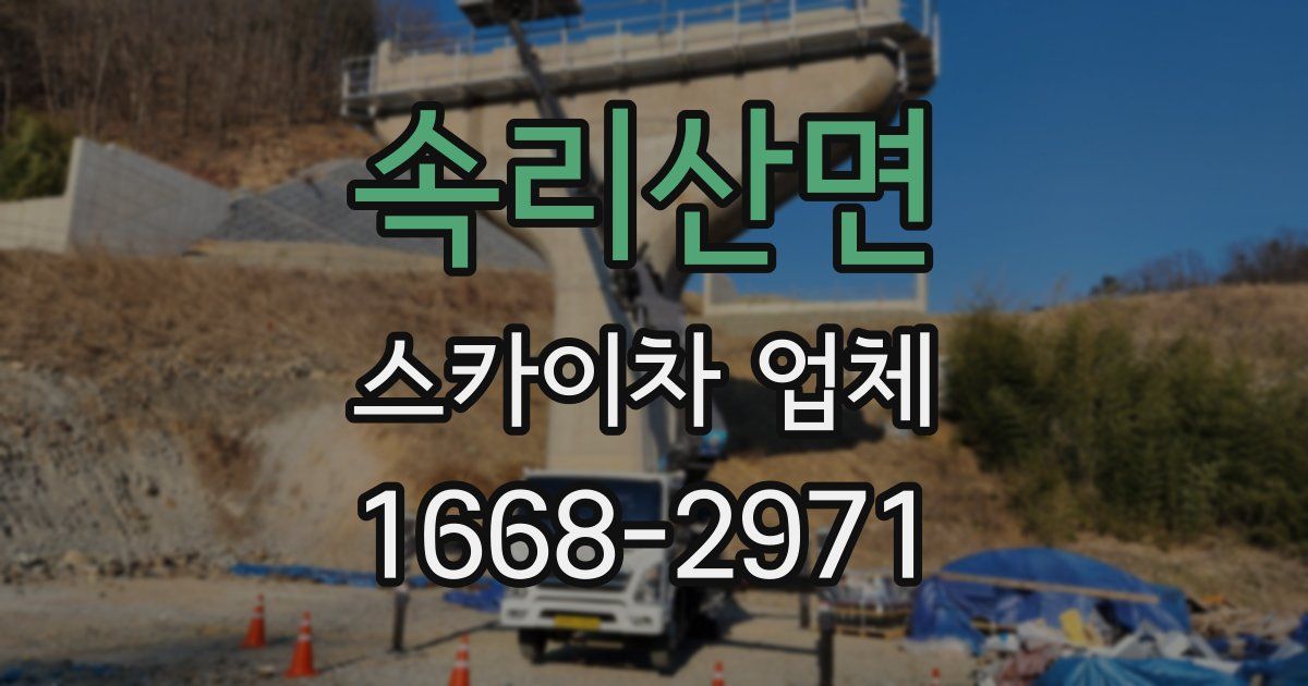 속리산면 스카이차 업체