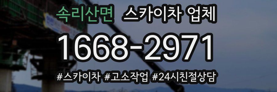 속리산면 스카이차 업체