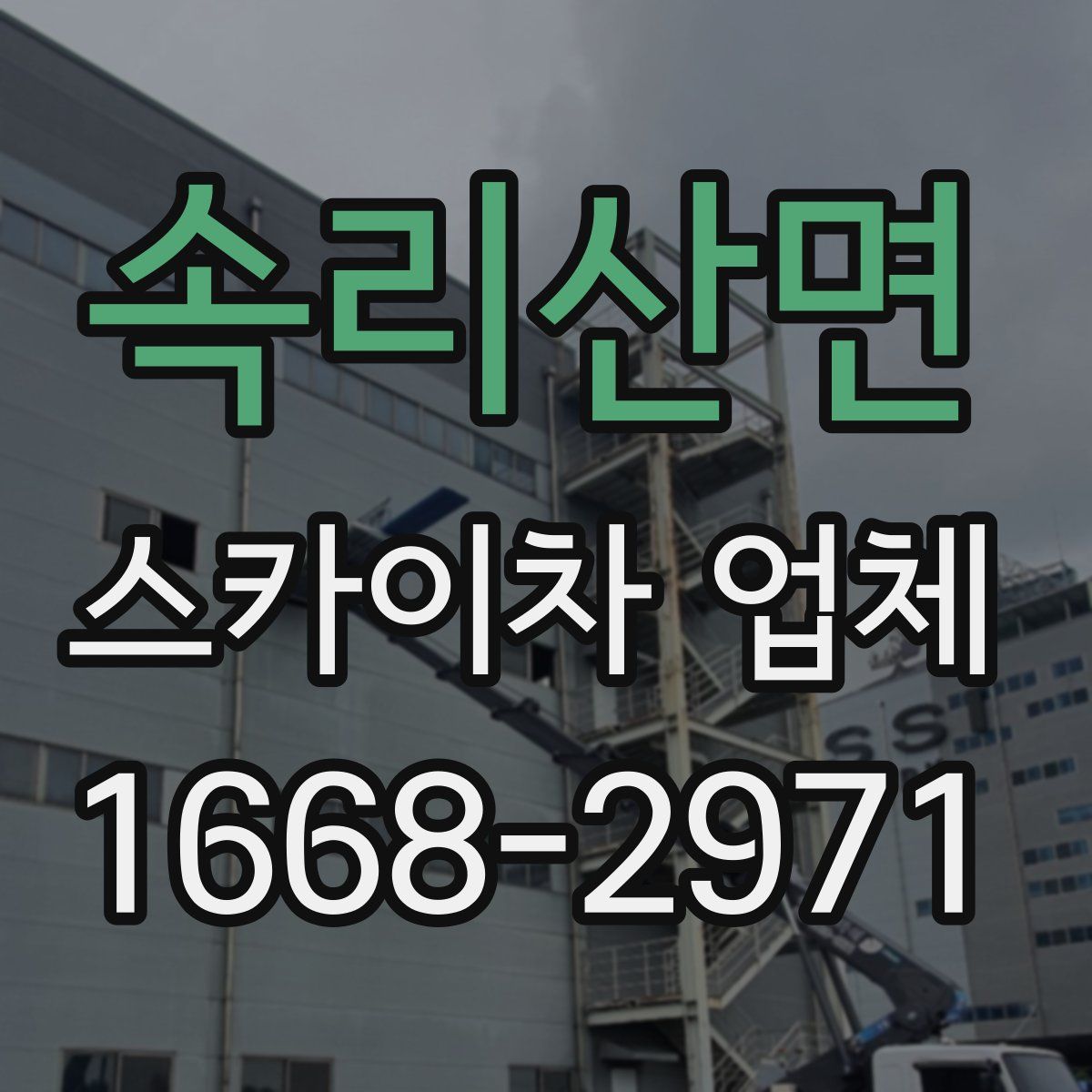 속리산면 스카이차 업체