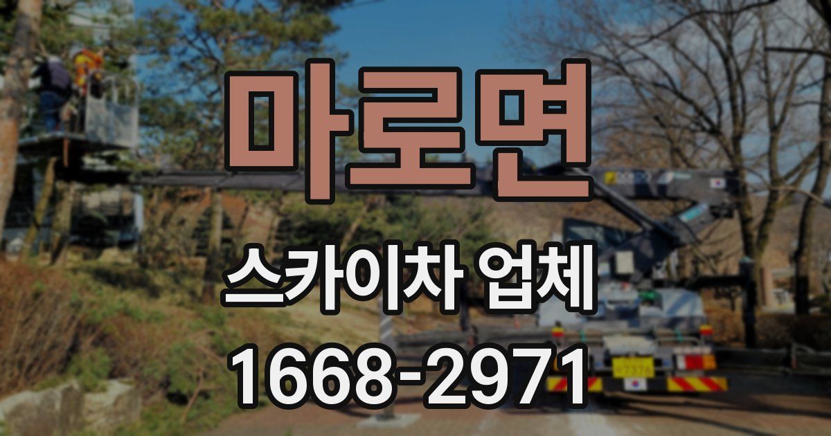 마로면 스카이차 업체