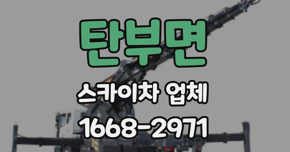 탄부면 스카이차 업체