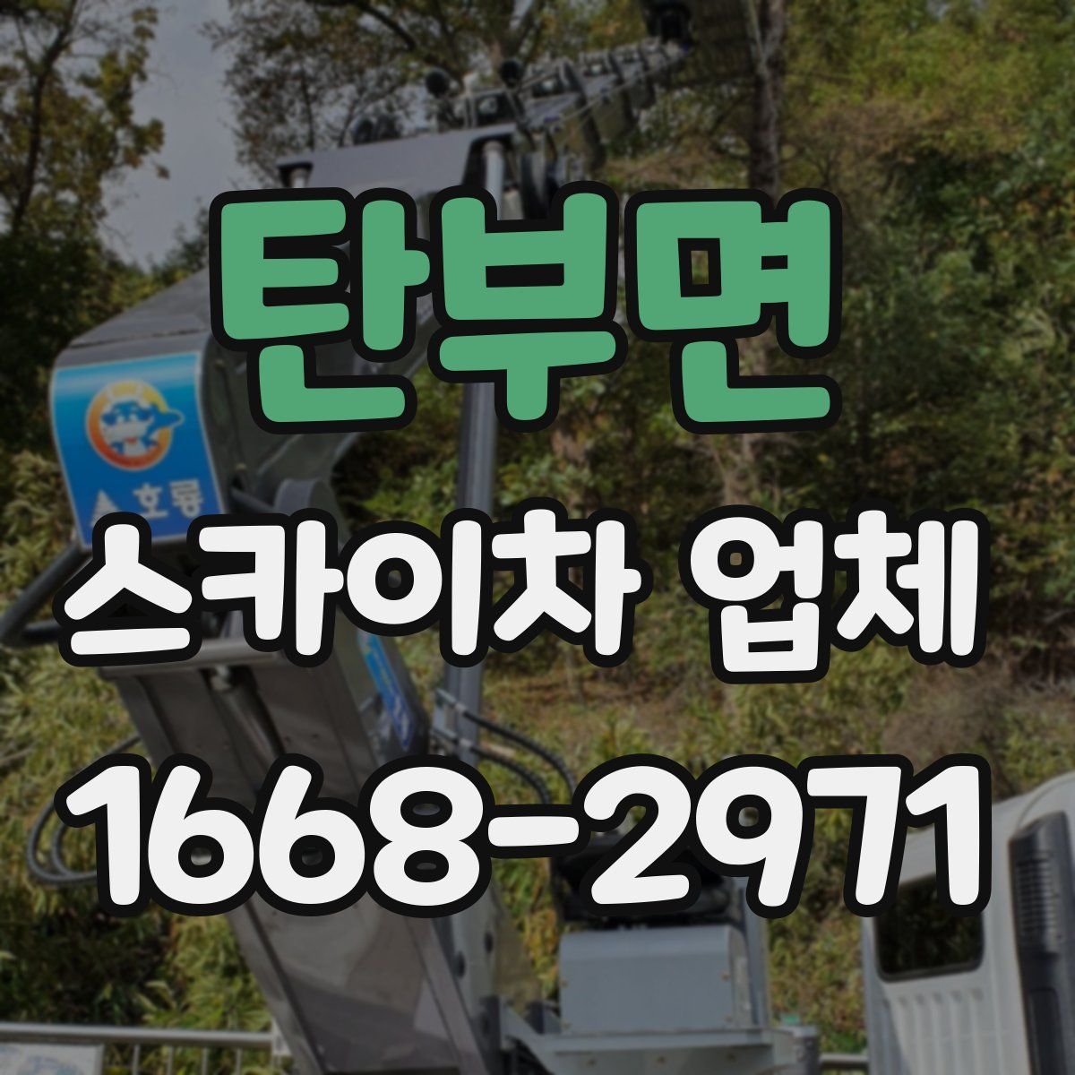 탄부면 스카이차 업체