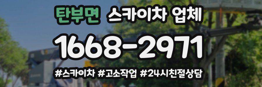 탄부면 스카이차 업체