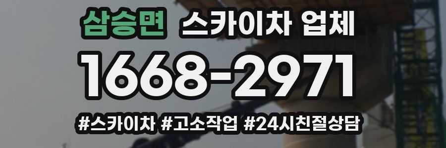 삼승면 스카이차 업체