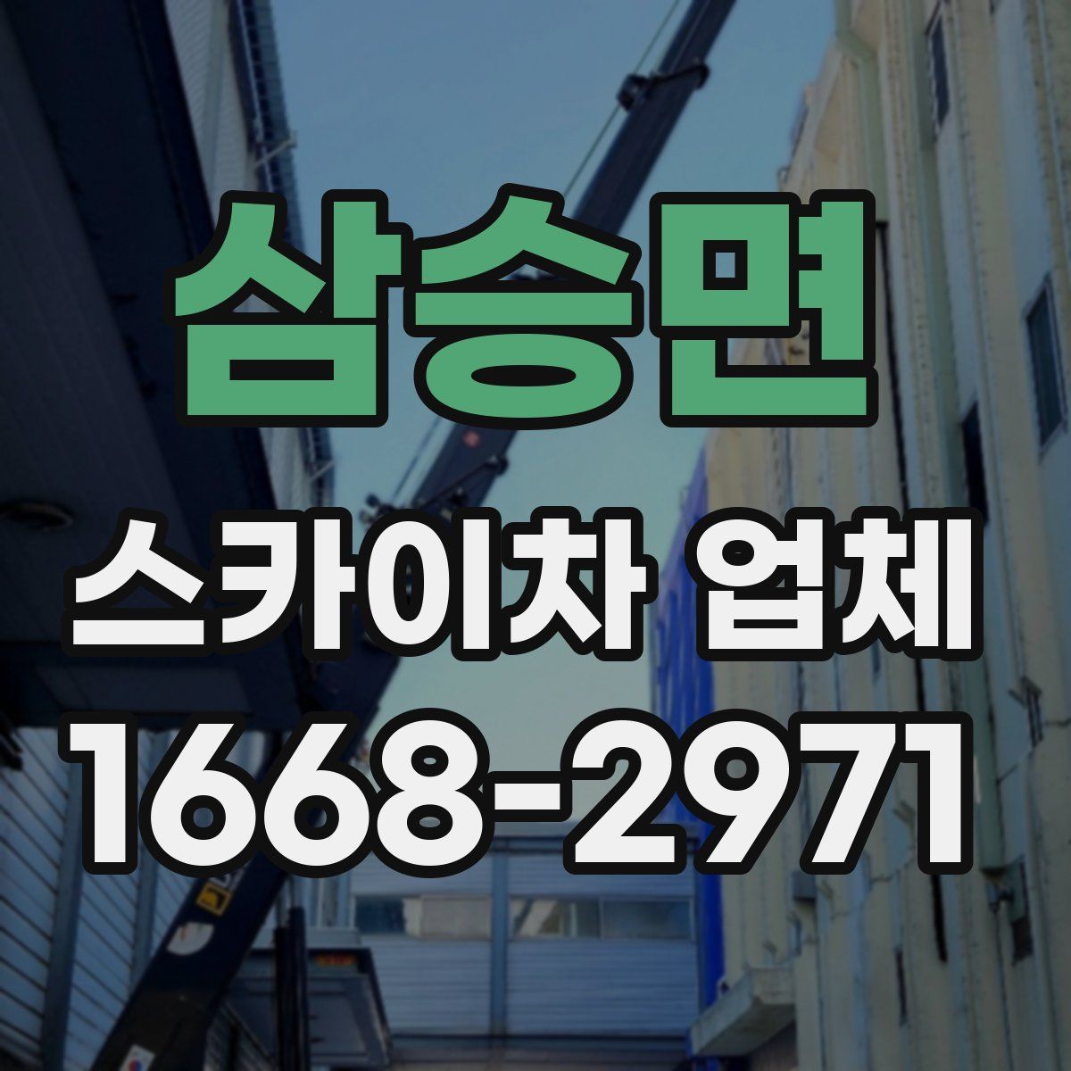 삼승면 스카이차 업체