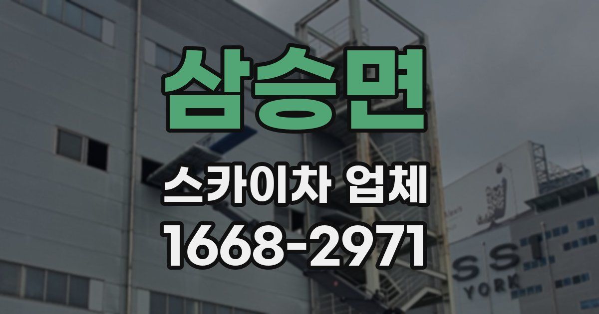 삼승면 스카이차 업체